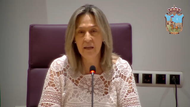 No hay vista previa disponible