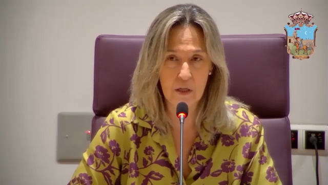 No hay vista previa disponible